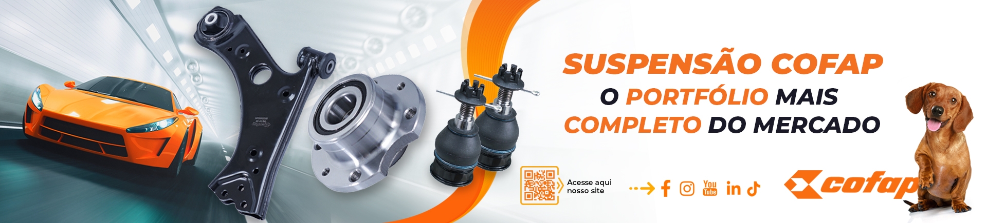 https://javalipecas.com.br/COFAP - 18.09