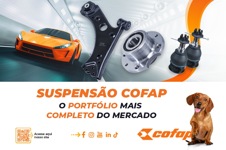 https://javalipecas.com.br/COFAP - 18.09